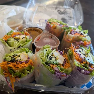 Chicken spring rolls