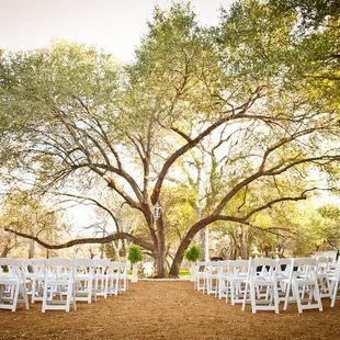 Outdoor Wedding