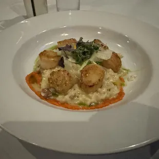 Scallops
