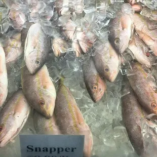 Whole Snapper