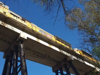 Cienega Creek Natural Preserve