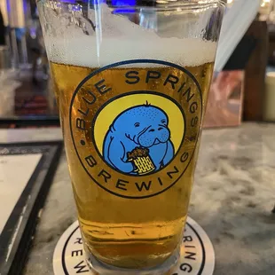 IPA