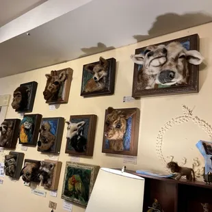 Alpaca art