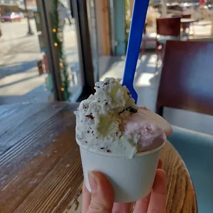 Small chocolate chip &amp; cranberry orange gelato