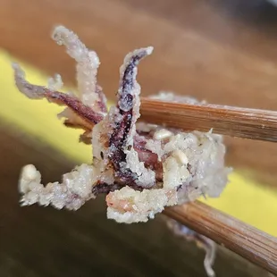 I love to eat fried tenecaled critters!