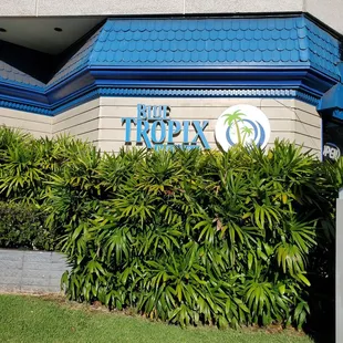 blue tropix bar and grill