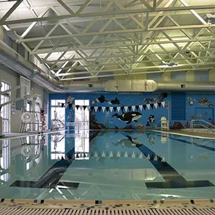 Heated lap swim pool and a zero-entry pool with a river channel