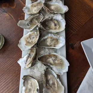 mussels, shellfish, oysters, food, oysters and mussels