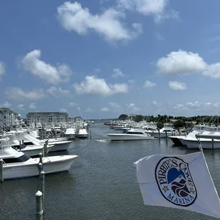 View from our table at Blue Water Grill