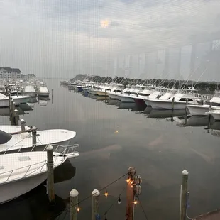 Marina view. A little surreal with smoke from the Canadian fires