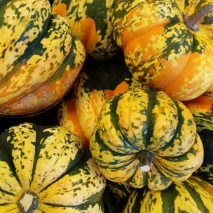 a basket of gourds