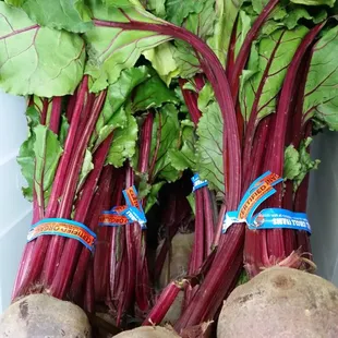 beets and greens