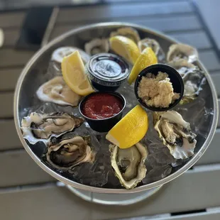 Oysters - Dozen