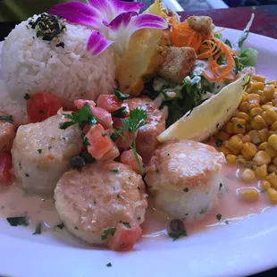 Scallops with a side of corn, white rice, salad and a pineapple.