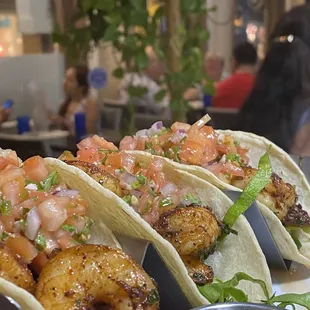 Shrimp Tacos