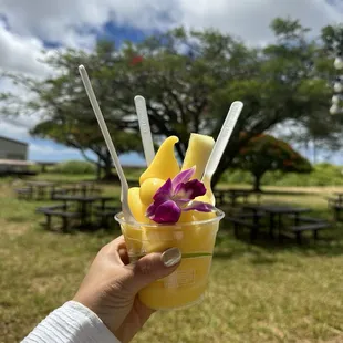 Dole Pineapple whip