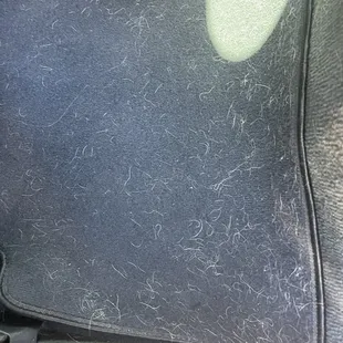 My floor nit vacuumed