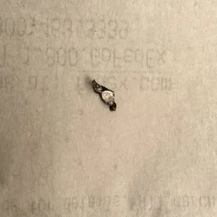 Metal thing in my chicken bibimbap