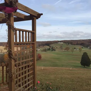 The view from the top of the hill