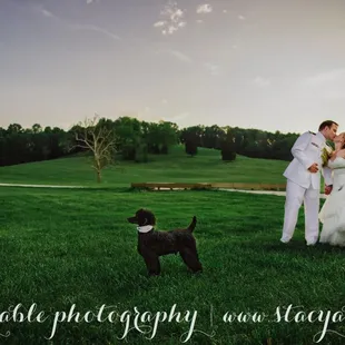 Destiny and Stew's spring 2015 wedding at the Blueberry Hill Estate