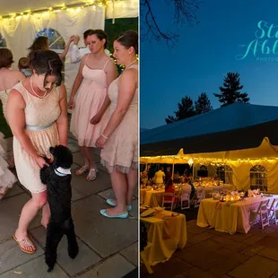 Beautiful reception under a tent by the house