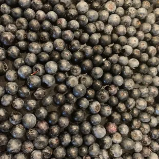 Fresh blueberries picked this morning- getting ready to freeze some to enjoy later!