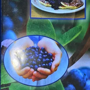 3/5/21 MENU: Blueberry Hill Pancake House (1 of 6)