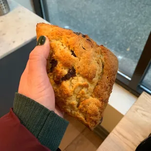 Chocolate chip scone