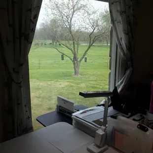 View from the crafting room.