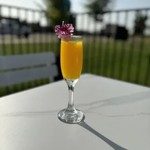 Mimosa!!!