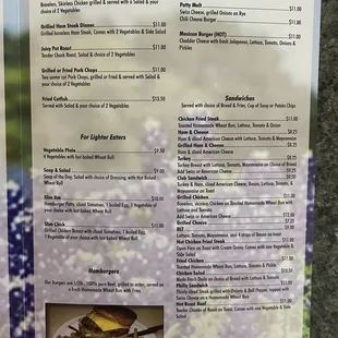 Menu - Lunch (they also have daily lunch specials)