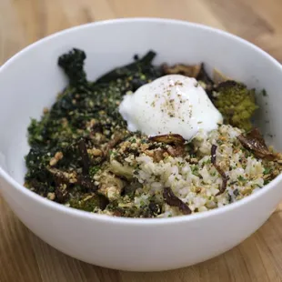 Nutritious and delicious, our grain bowl stars sublime, locally-grown oyster mushrooms!