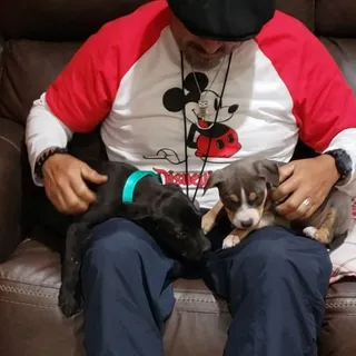 Jaimito J.