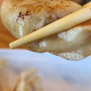 Gyoza