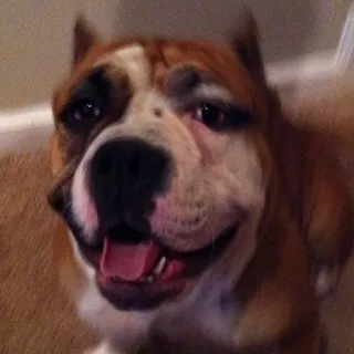 Amy C.