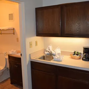 Deluxe Cabinet and Bath Area