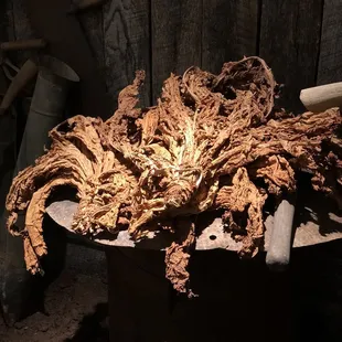 Tobacco exhibit