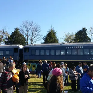 Simply a perfect little train excursion.