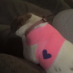 All wrapped up pretty in pink