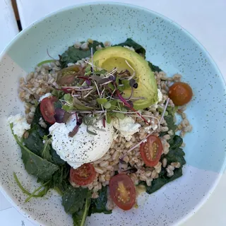 Breakfast Bowl