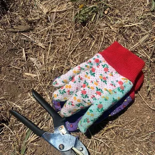 Gloves and shears