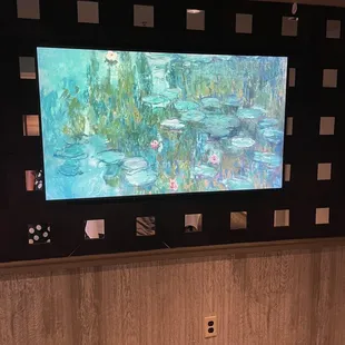 Watched the football for a few minutes on this screen.