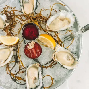 Freshly shucked Oysters on the Half Shell.