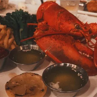Steamed Maine Lobster
