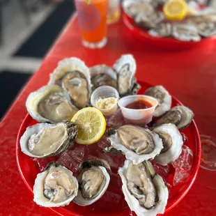 a plate of oysters