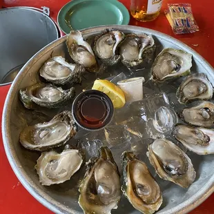 mussels, food, oysters and mussels, shellfish, oysters