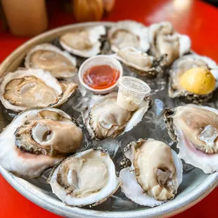 Raw Oysters