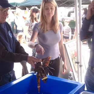 Live lobster