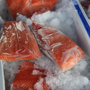 Fresh Salmon...individually wrapped.