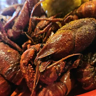 Great Crawfish!!!